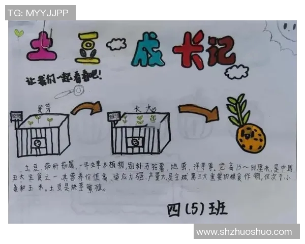 足球小白的成长之路从零基础到球场明星的蜕变故事